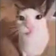 rinluv