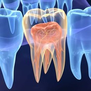 Toothmongerous prime