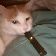 Dan