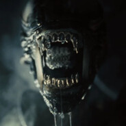 Xenomorph