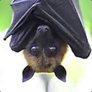 Fruit Bat