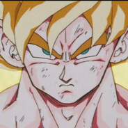 Goku Officiel