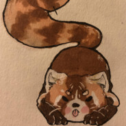 SamuraiRedPanda