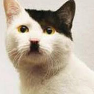 Ada Kitler