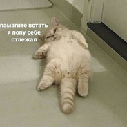 Aries