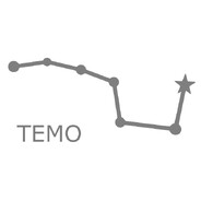 TEMO LLC