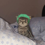 PhucBaoo