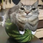 big fella oficjalnie