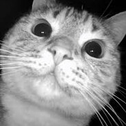 Avatar de la communauté Steam