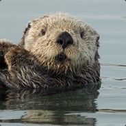 Sammy_The_Otter