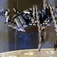 x-striedi
