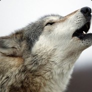 Wolfen01