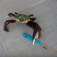 Prof. Dr. Krabbe mit Messer