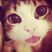 :P