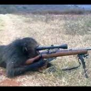 Sniper MONKEY