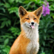 Nick ;P