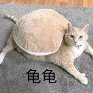 卖萌的芙兰达