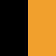 SA∀Ƨ