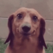 ITheDogI