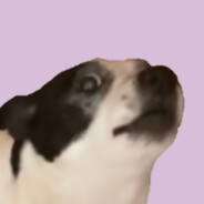 binnibep