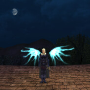 Teme