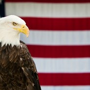 Eagle