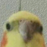 AURETTA