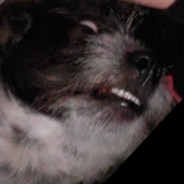 BeanJamin