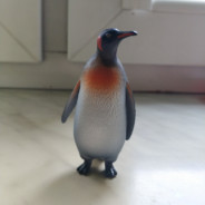Pitereq