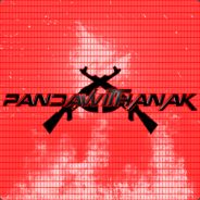 PandaWithAnAk