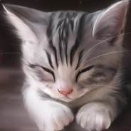 V.v