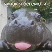 Begimotic
