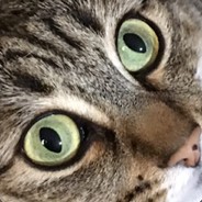 Jacquielope