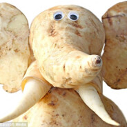 potatoelephante