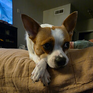 Tacochuy