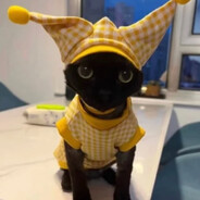 Quinn!