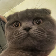 ket