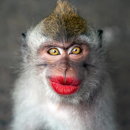 #ilovem!lfs