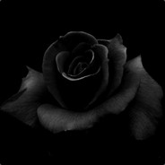-Roses
