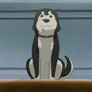 Kdog