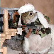 squirrelcooker