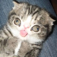 Meowzavur