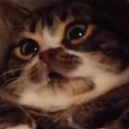 itsjellygood