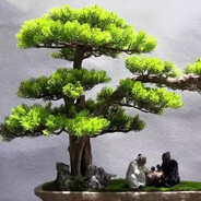 Leñador de Bonsai