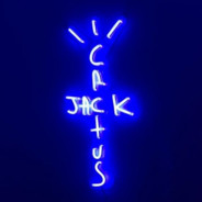 ツCactusツ