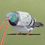 Steam Community Avatar