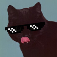 El Gato Simulator