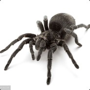 ssopuilder