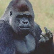 Gorilla Boye