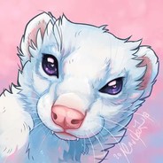 FerretDreamer